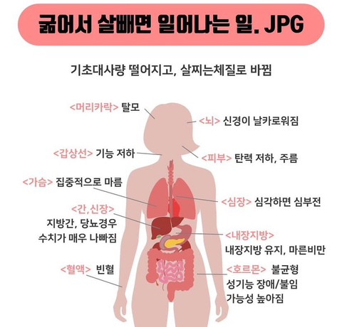 굶어서 살빼면 일어나는 일