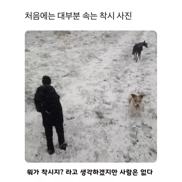 스포츠중계 빠른티비