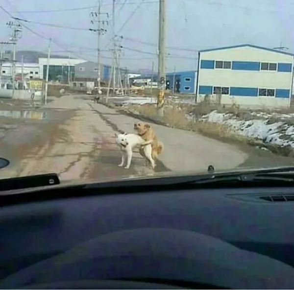 스포츠중계 빠른티비