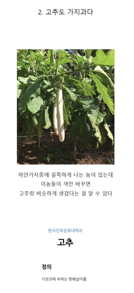  우리가 잘 모르는 가지