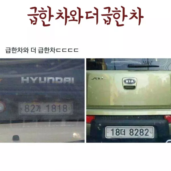 스포츠중계 빠른티비