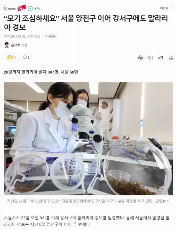 스포츠중계 빠른티비