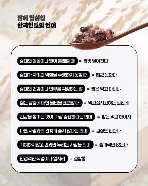 스포츠중계 빠른티비