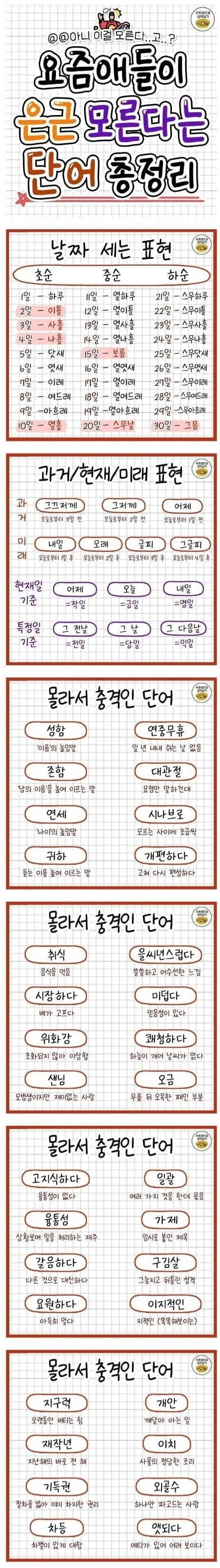 스포츠중계 빠른티비