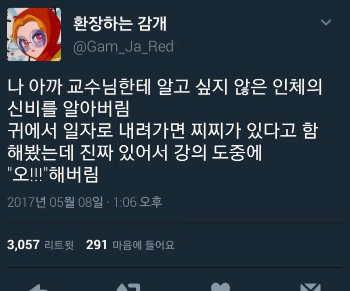 스포츠중계 빠른티비
