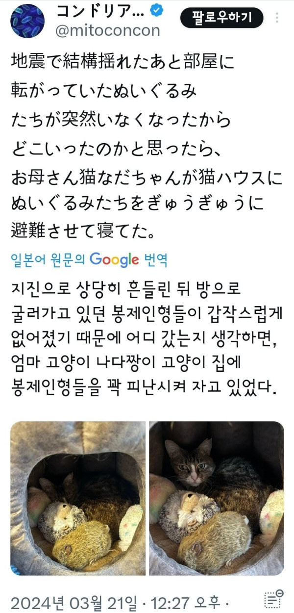  지진후 인형들이 없어진 이유