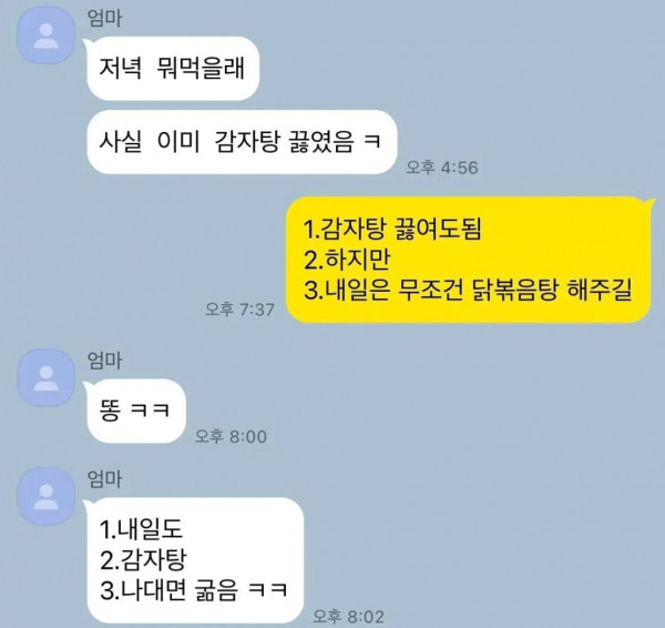  아들 저녁 뭐먹을래